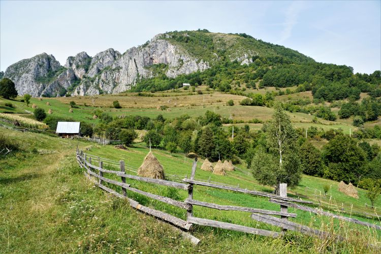 Buying and financing an acreage in Alberta